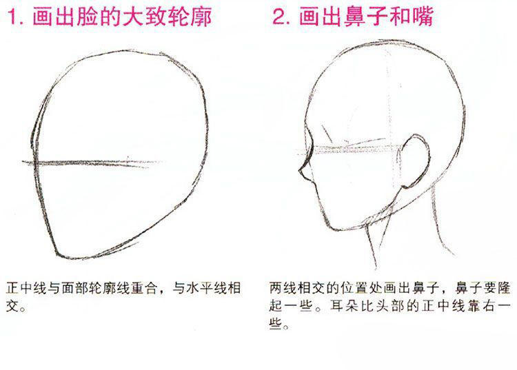 脸型描绘