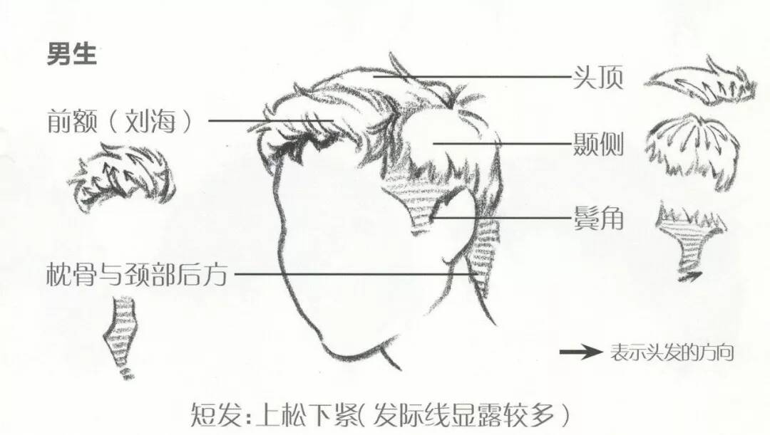 北京画室为你准备超强干货丨速写头发的五大刻画要点！