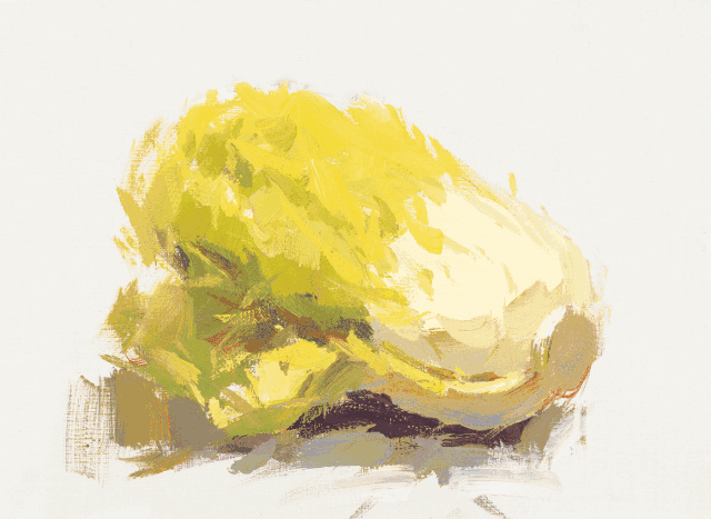 色彩静物教程——白菜画法