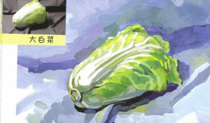 色彩静物教程——白菜画法