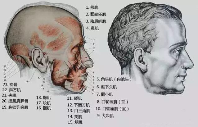 素描头像