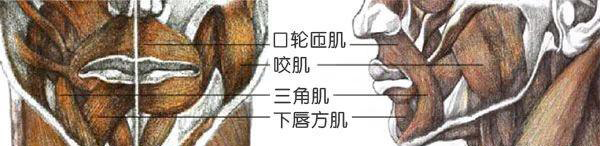 绘画技巧