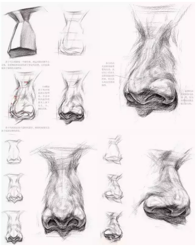 鼻子的底面是鼻子最暗的部分,和眉弓底面,下巴底面组成了头部的三大